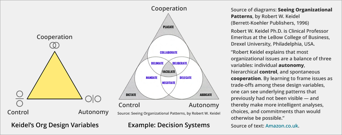 View the Amazon UK page for Seeing Organizational Patterns Robert Keidel's three design variables
